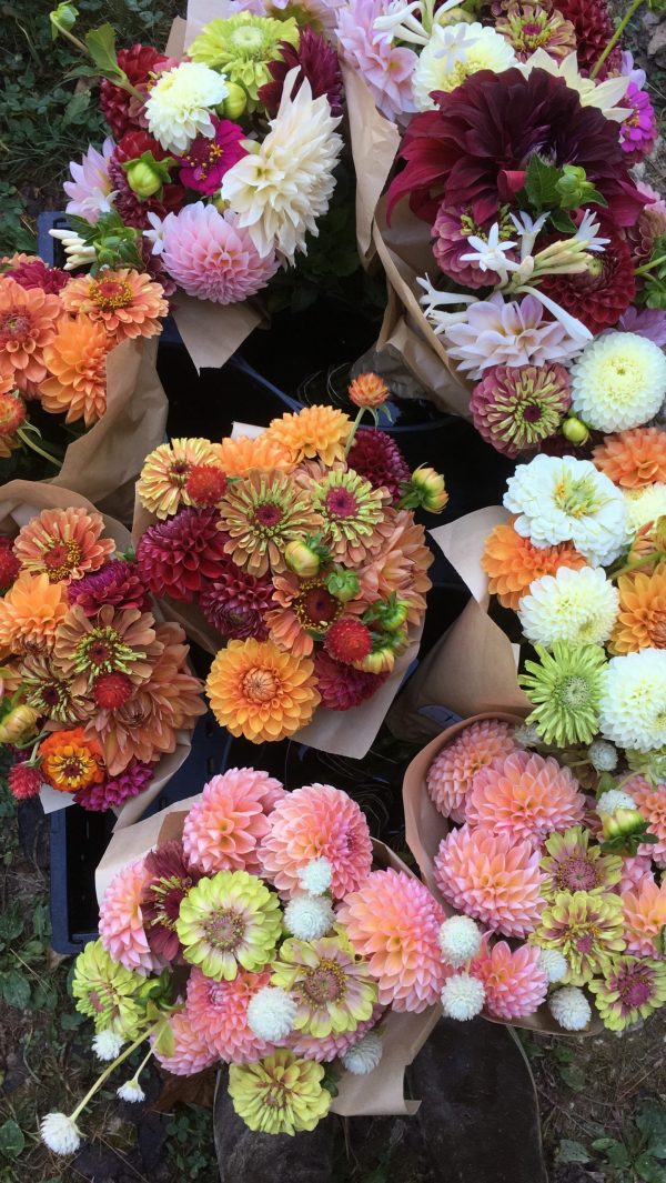 Flower CSA Summer / Fall - Image 3