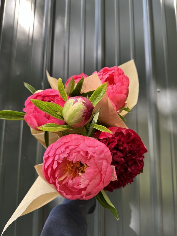 Mixed Peony Bouquets (Early)