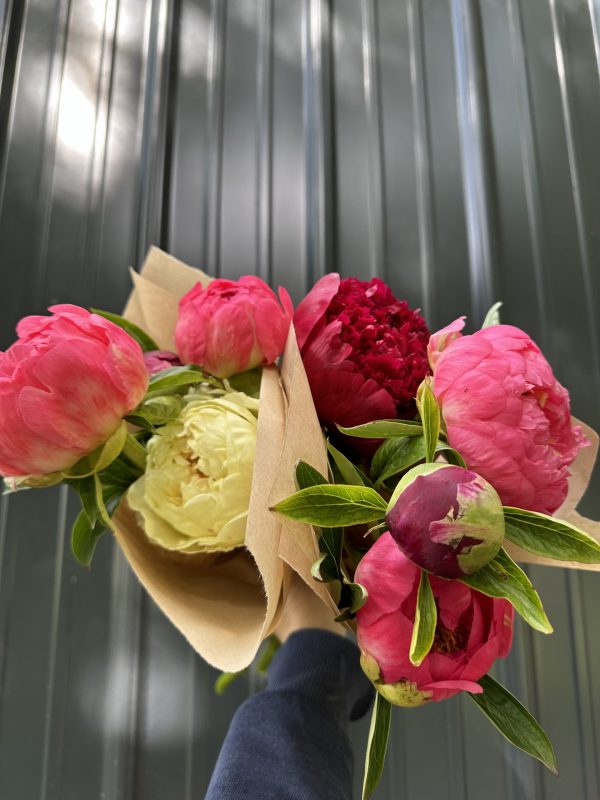 Mixed Peony Bouquets (Early) - Image 2